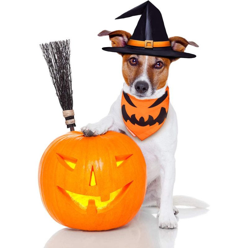 Halloween Dog Bandanas Washable Halloween Pet Bibs Kerchief Costumes Accessories
