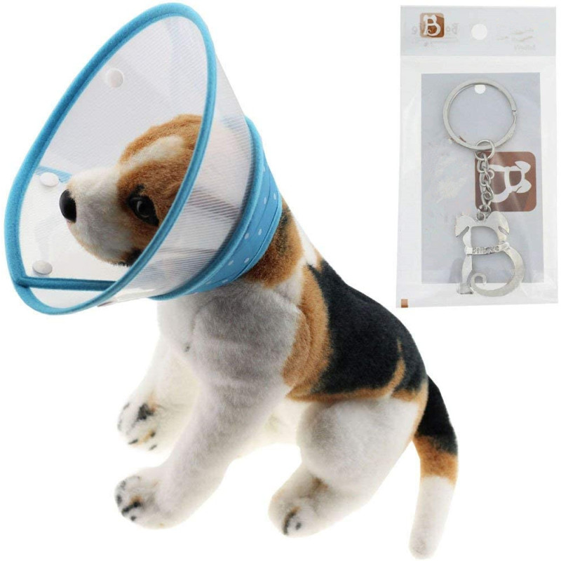 Dots Design Soft Edge Plastic Cone Recovery for Small Dogs