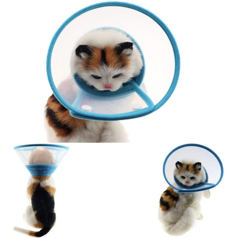 Dots Design Soft Edge Plastic Cone Recovery for Small Dogs