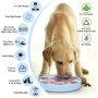 Dog Food Anti Knock Over Cup Slow Feeder Dog Bowls Honeycomb Style Use indoor
