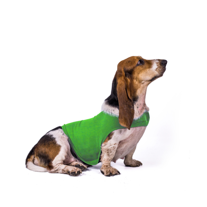 Wholesale dog waterproof jacket interlock jacket customized dog anxiety jacket , Dog Anxiety Vest, Stress Relief Calming Coat