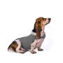 Wholesale dog waterproof jacket interlock jacket customized dog anxiety jacket , Dog Anxiety Vest, Stress Relief Calming Coat