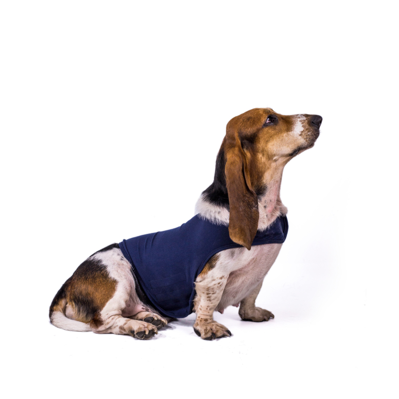 Wholesale dog waterproof jacket interlock jacket customized dog anxiety jacket , Dog Anxiety Vest, Stress Relief Calming Coat