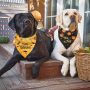 Halloween Dog Bandana, 2 Pack Pumpkin Reversible Dog Triangle Bibs Pet Scarf Accessories for Small Medium Large Dogs a