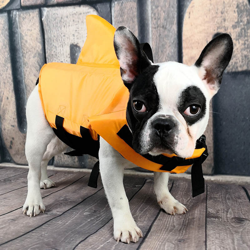 Dog Life Jacket Shark Dog Life Vest for Small Medium, Professional Pet Dog Lifesaver Preserver Cold Weather Coat Swim Suit