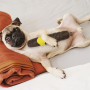 Cigar Cigarette For Doggy Funny Shape Puppy Toys Rubber Dog Chew Toy Interactive Dog Stuff Cute Dog Birthday Gift