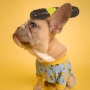 Cigar Cigarette For Doggy Funny Shape Puppy Toys Rubber Dog Chew Toy Interactive Dog Stuff Cute Dog Birthday Gift