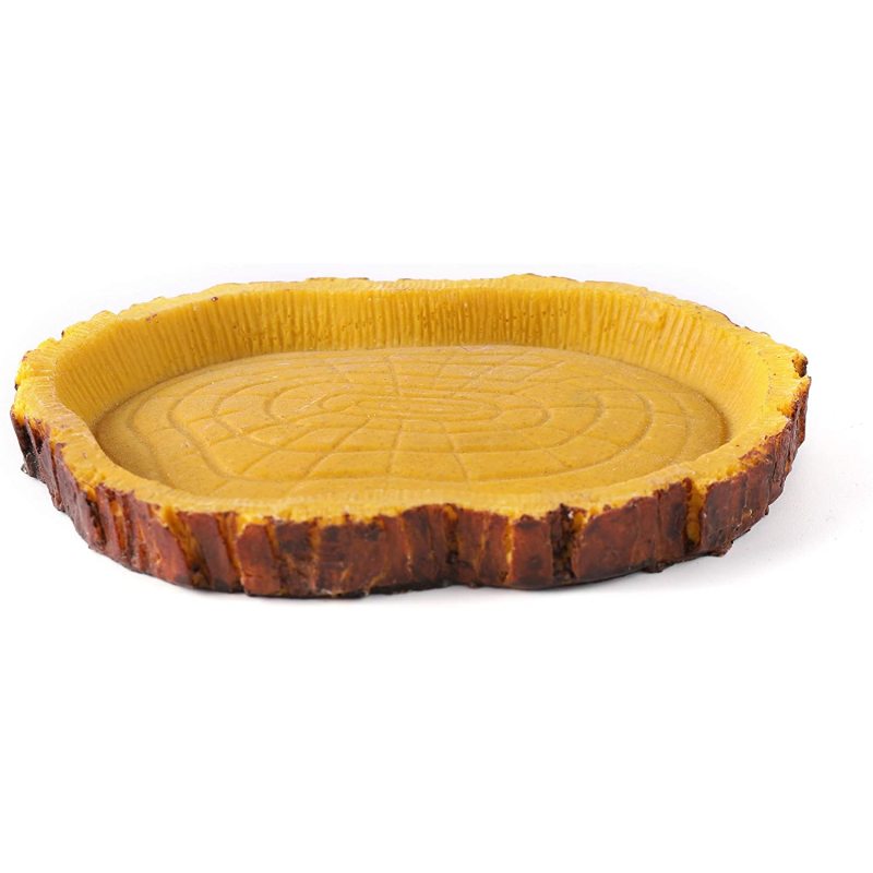 Reptile Water and Food Bowls Novelty Food Bowls
