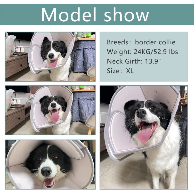Protective Collar Pet Recovery Cone for Small Medium Large Dogs