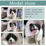 Protective Collar Pet Recovery Cone for Small Medium Large Dogs