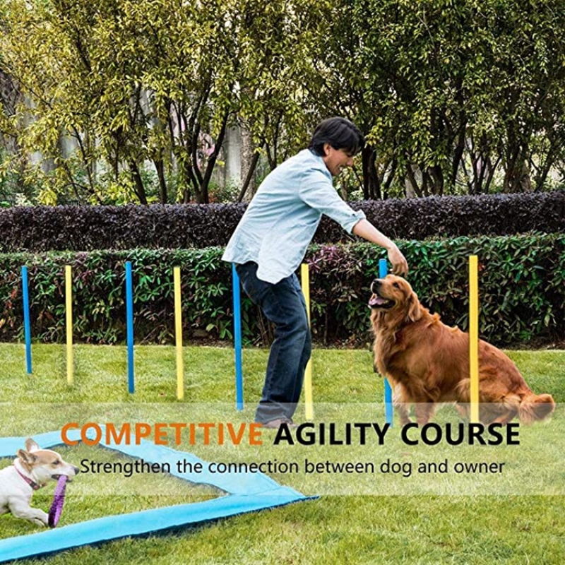 Wholesale Dog Agility Equipment Pet Obstacle Training Course Kit With Tunnel Adjustable Hurdles Poles Carry Bag