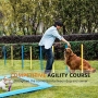 Wholesale Dog Agility Equipment Pet Obstacle Training Course Kit With Tunnel Adjustable Hurdles Poles Carry Bag