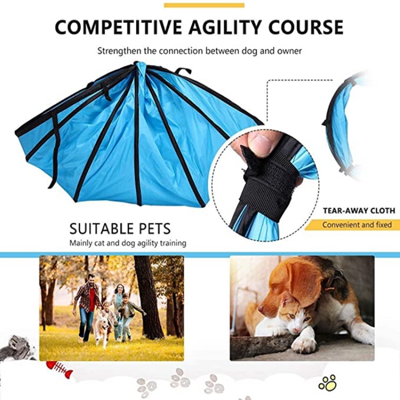 Wholesale Dog Agility Equipment Pet Obstacle Training Course Kit With Tunnel Adjustable Hurdles Poles Carry Bag