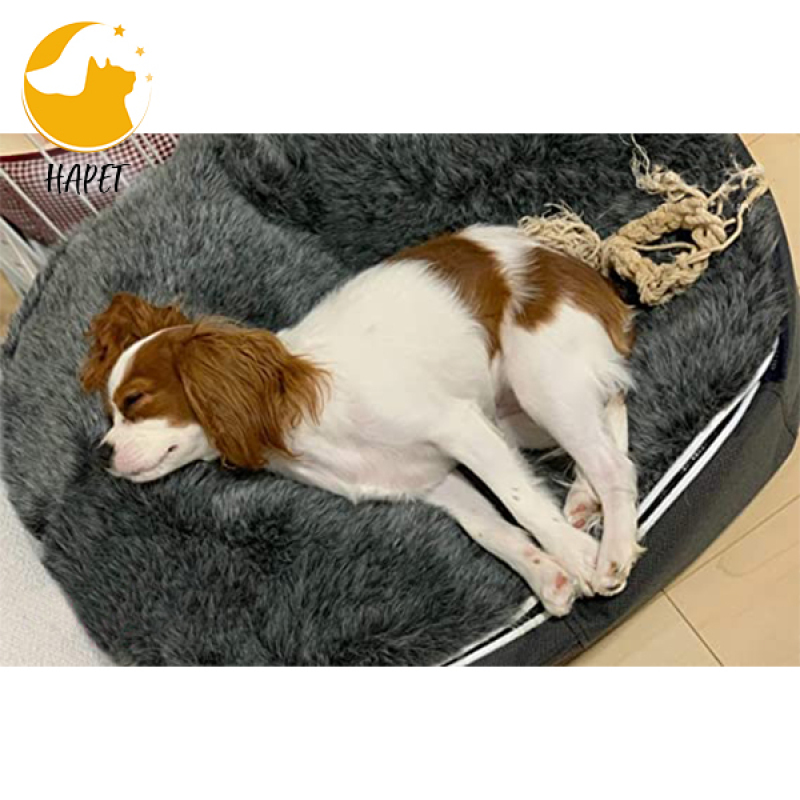 Dog Bed for Medium Dogs Washable Rectangle Pet Bed Thickened Enough with Soft Coral Fleece and Non-Slip Bottom