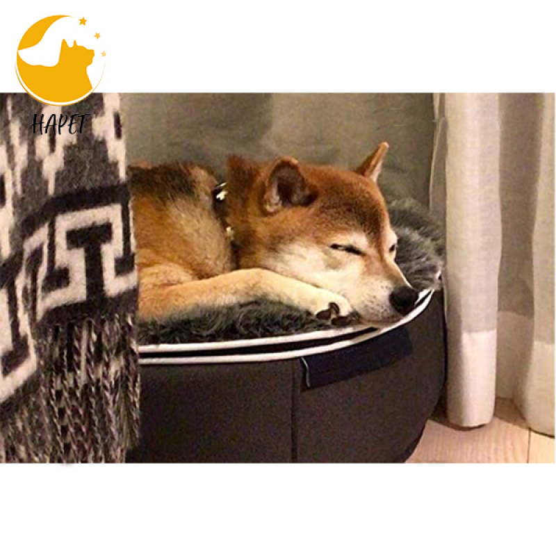 Dog Bed for Medium Dogs Washable Rectangle Pet Bed Thickened Enough with Soft Coral Fleece and Non-Slip Bottom