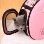 3D print EVA classical puppy portable airline approved cat pet carrier dog bag
