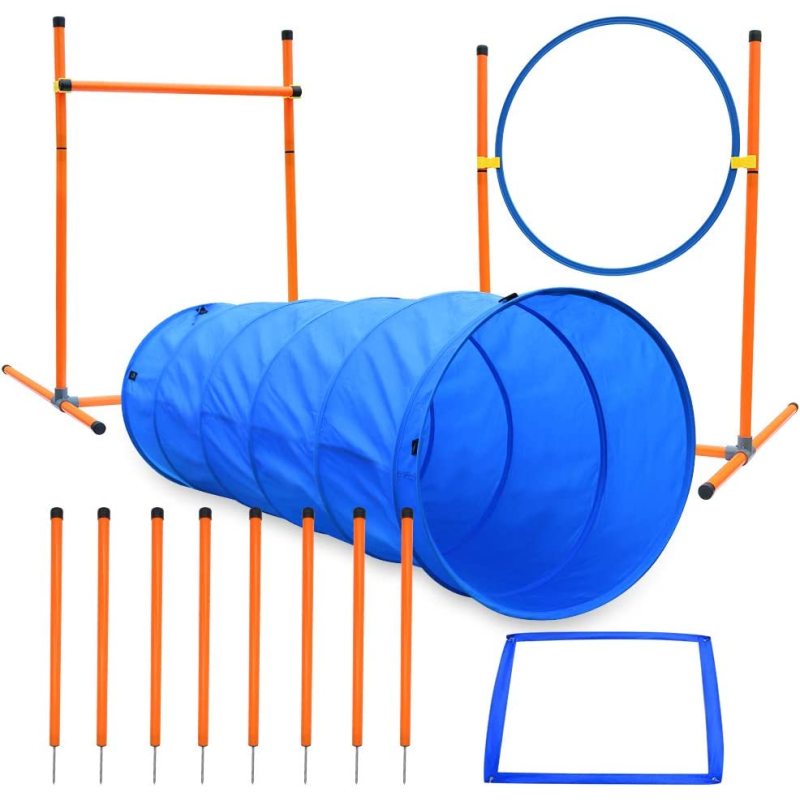 Pet Outdoor Games Agility Course Equipments Obstacle Agility Training Starter Kit for Doggie