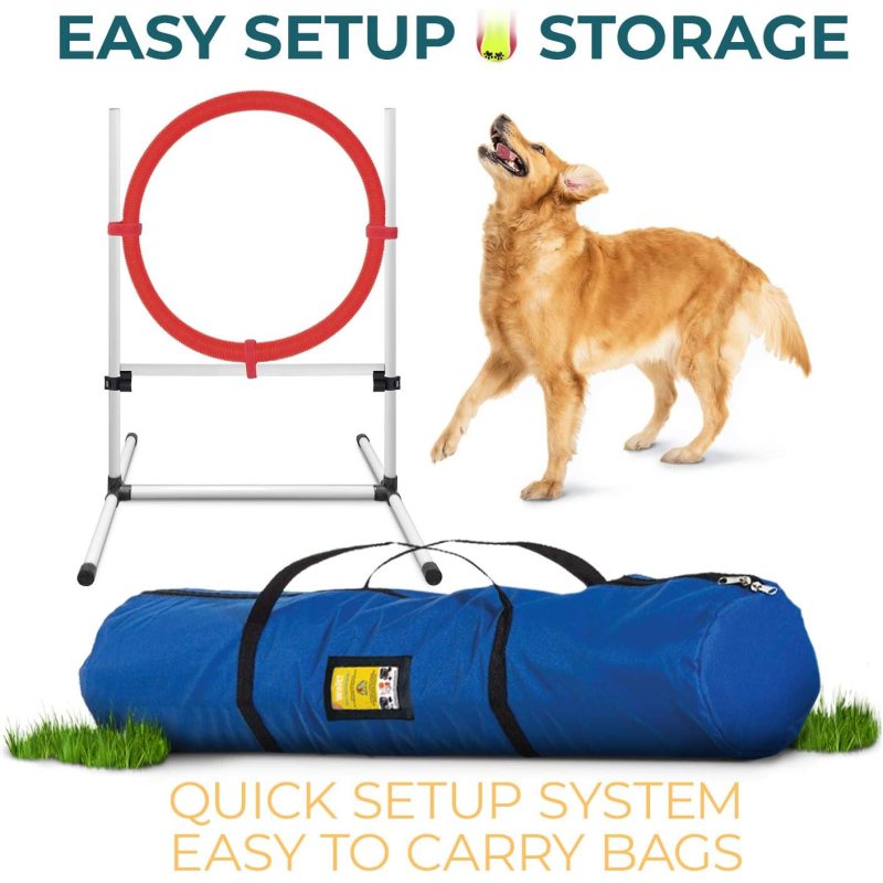 Pause Box and Weave Poles Agility Training Equipment with Carrying Case