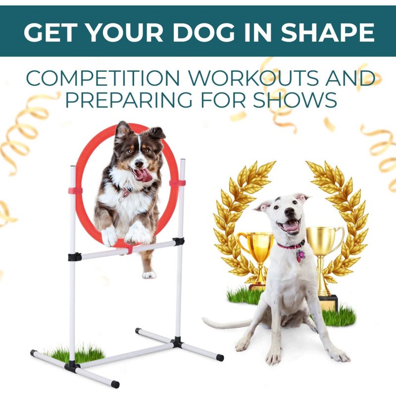 Pause Box and Weave Poles Agility Training Equipment with Carrying Case