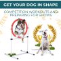 Pause Box and Weave Poles Agility Training Equipment with Carrying Case