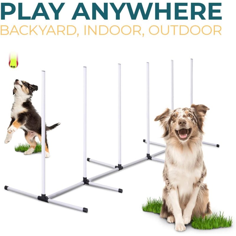 Pause Box and Weave Poles Agility Training Equipment with Carrying Case