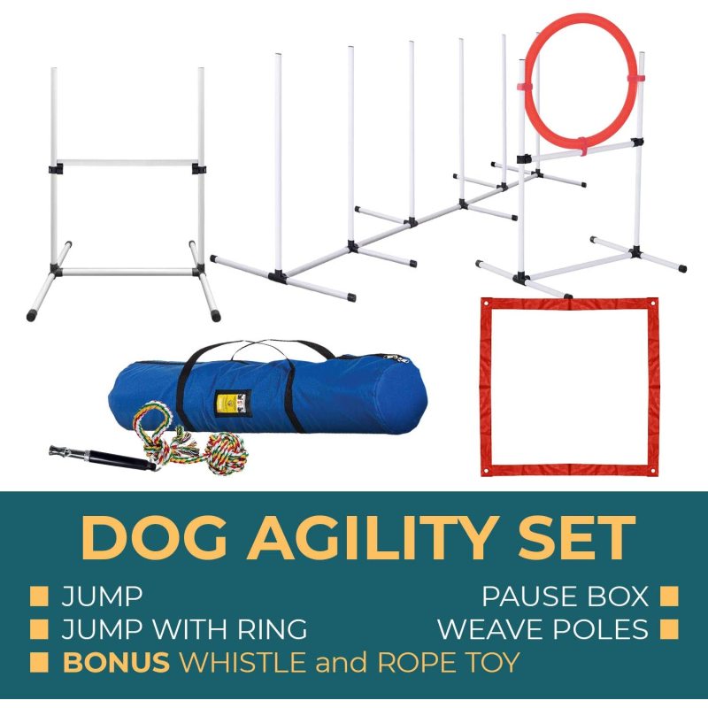 Pause Box and Weave Poles Agility Training Equipment with Carrying Case