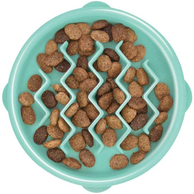Slow Feeder Dog Bowl