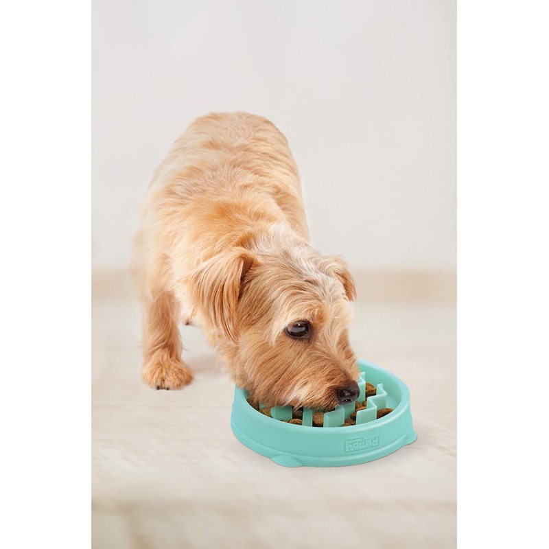 Slow Feeder Dog Bowl