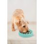 Slow Feeder Dog Bowl