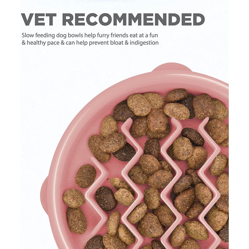 Slow Feeder Dog Bowl
