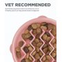 Slow Feeder Dog Bowl