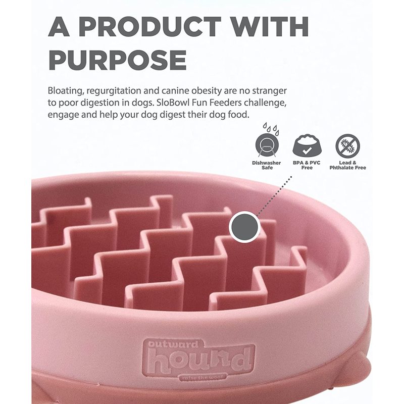 Slow Feeder Dog Bowl
