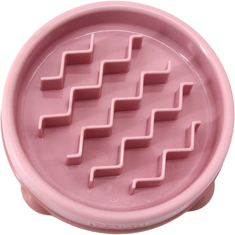 Slow Feeder Dog Bowl