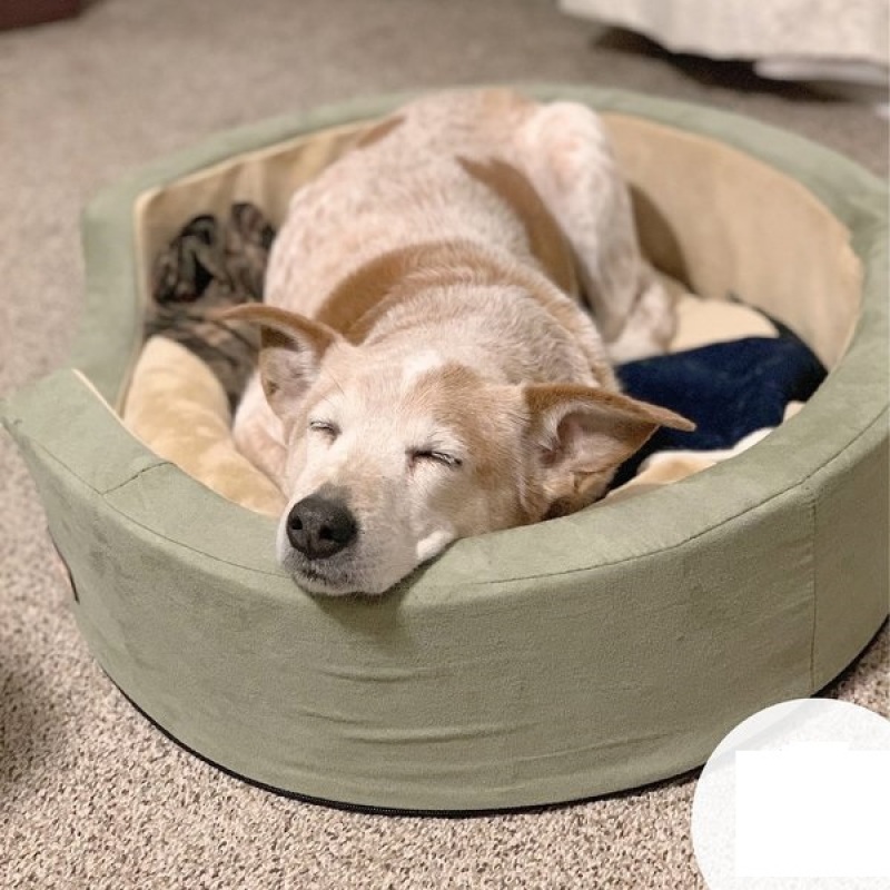 New Design Cozy Pet Bed Thermo Snuggly Sleeper Bolster Cat Dog Bed Pet Beds for Dogs Cats