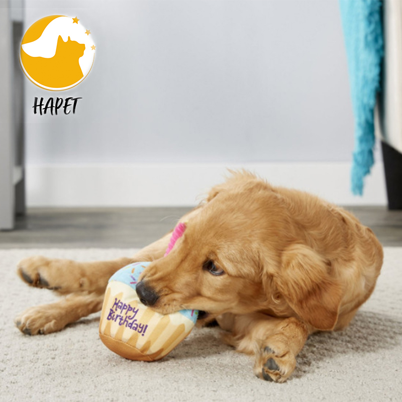 Plush Squeaking Birthday Cake Dog Toys