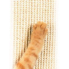 Vertical Cat Scratching Post Practice Cat Claw