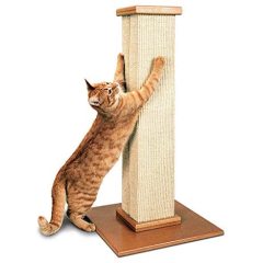 Vertical Cat Scratching Post Practice Cat Claw