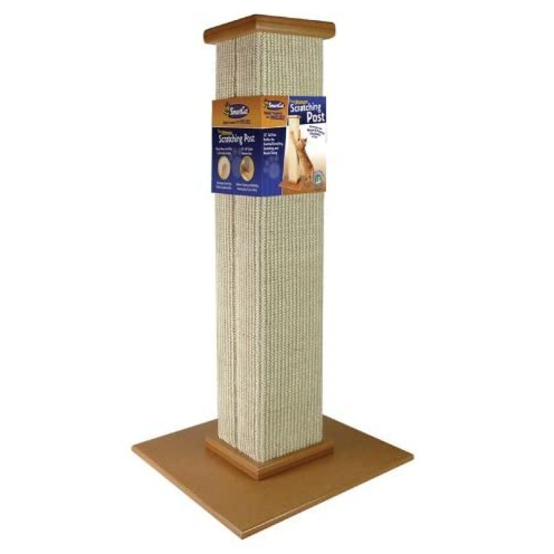 Vertical Cat Scratching Post Practice Cat Claw