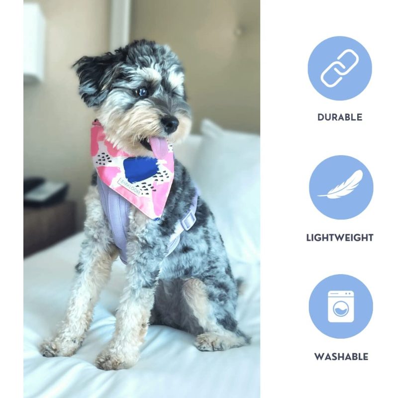 Dog Bandana - Picnic in Paris Set - Pink Dog Outfit with Floral & Watercolor Designs - Elegant Dog Accessories for Your Beloved