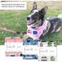 Dog Bandana - Picnic in Paris Set - Pink Dog Outfit with Floral & Watercolor Designs - Elegant Dog Accessories for Your Beloved
