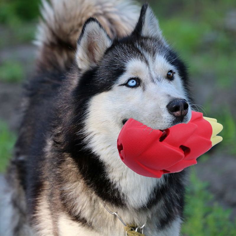 Dragon Fruit Shape Pet Iq Treat Ball Fun Interactive Food Dispensing Dog Rubber Chew Toy Rubber Tooth Cleaning Toy