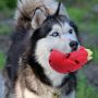 Dragon Fruit Shape Pet Iq Treat Ball Fun Interactive Food Dispensing Dog Rubber Chew Toy Rubber Tooth Cleaning Toy