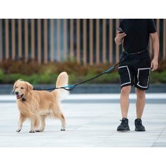 Zipper Pouch Dual Padded Handles Hands Free Dog Leash for Walking, Jogging and Running