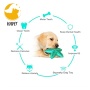 Amonzon Best Seller Starfish Shape Dog Chew Toys Durable Natural Rubber Toy for Teeth Cleaning