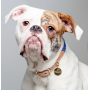 Cotton Rope Dog Collar, with Adjustable Soft Leather Strap