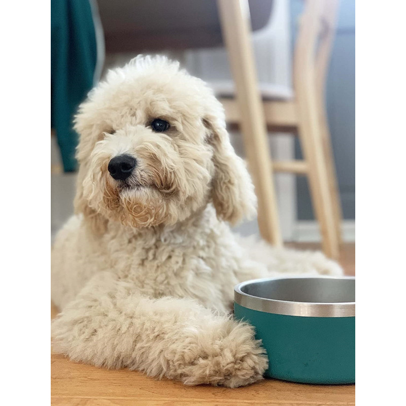 Pet Non Slip Stainless Steel Bowls for Water or Food
