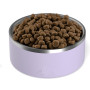 Pet Non Slip Stainless Steel Bowls for Water or Food