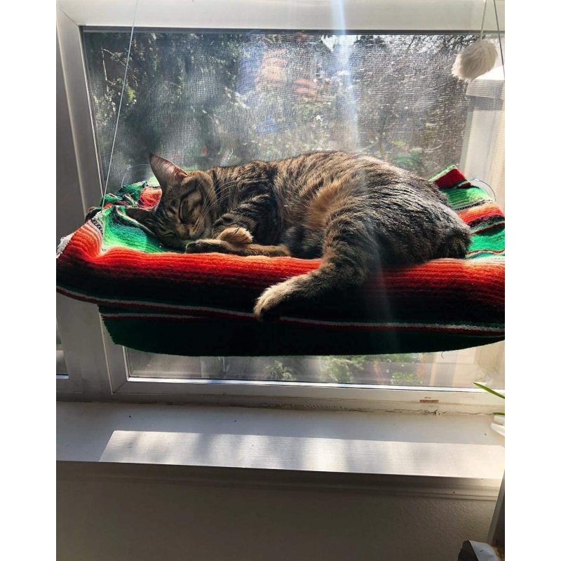 Cat Hammocks for Window - Seat Suction Cups Space Saving Cat Bed, Pet Resting Seat Safety Cat Window Perch for Large Cats, Provi