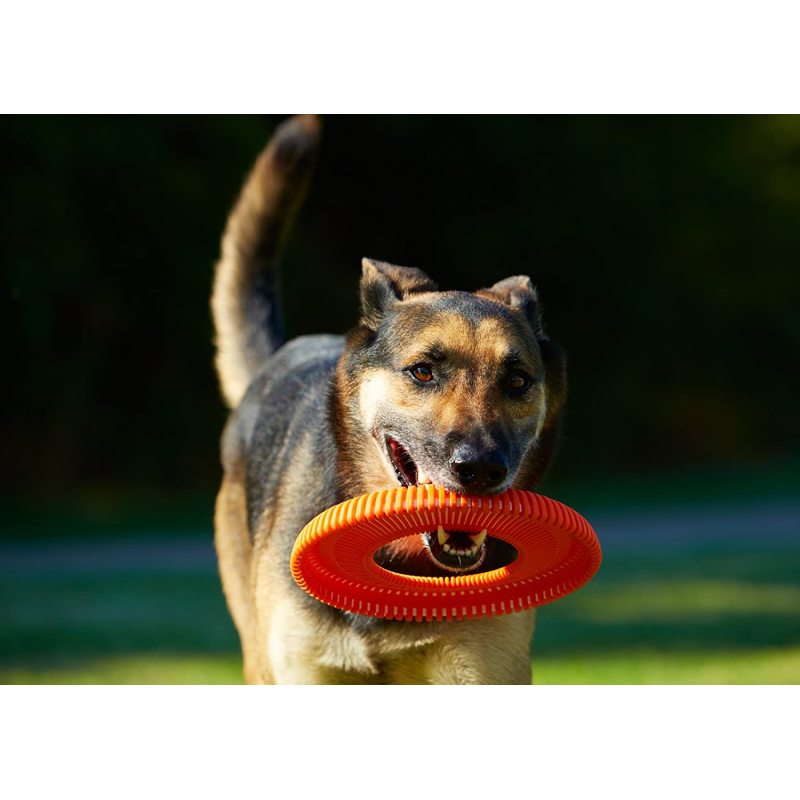 Dog Chew Toys Rugged Flyer Dog Toy Disc for Average Chewers Treat Dispenser stuffable Tough Dog Toys