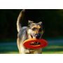 Dog Chew Toys Rugged Flyer Dog Toy Disc for Average Chewers Treat Dispenser stuffable Tough Dog Toys